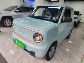 吉利银河 2024款 熊猫mini 200km 耐力熊