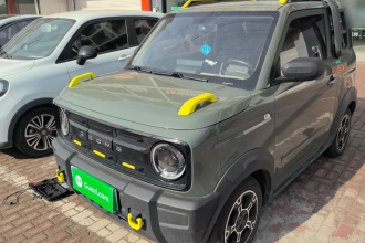 吉利银河 2024款 200km 熊猫骑士