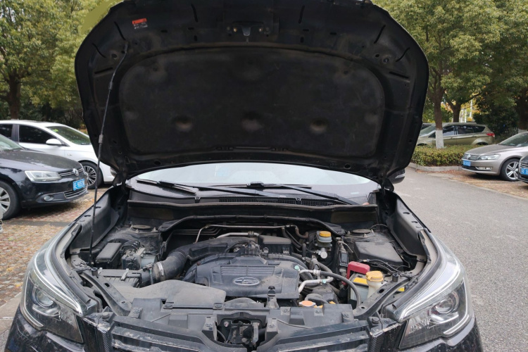 斯巴鲁 森林人 2019款 2.0i 豪华版EyeSight机舱底盘24