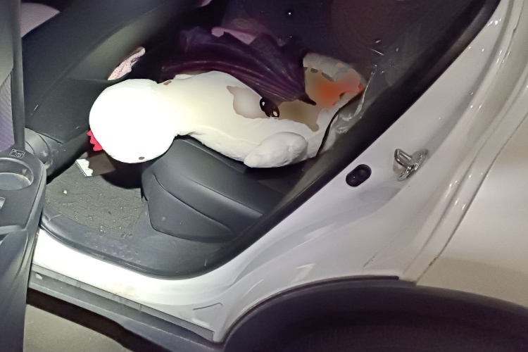 丰田 奕泽IZOA 2018款 2.0L 奕驰版 国VI中控内饰21