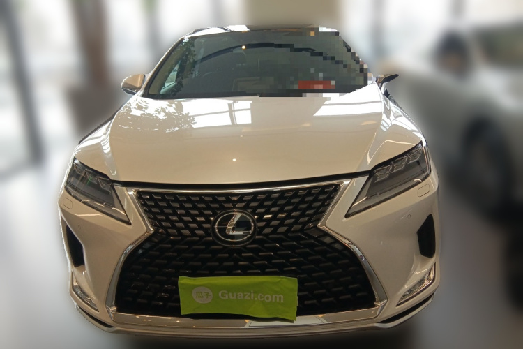 雷克萨斯RX 2020款 300 四驱典雅版 国VI车身外观2