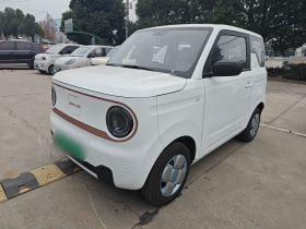 吉利银河 2024款 熊猫mini 200km 耐力熊