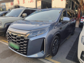 比亚迪 夏 2025款 DM-i 1.5T 180km 超越型