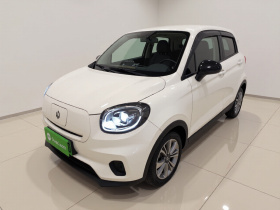 零跑汽车 零跑T03 2021款 400轻享版 磷酸铁锂