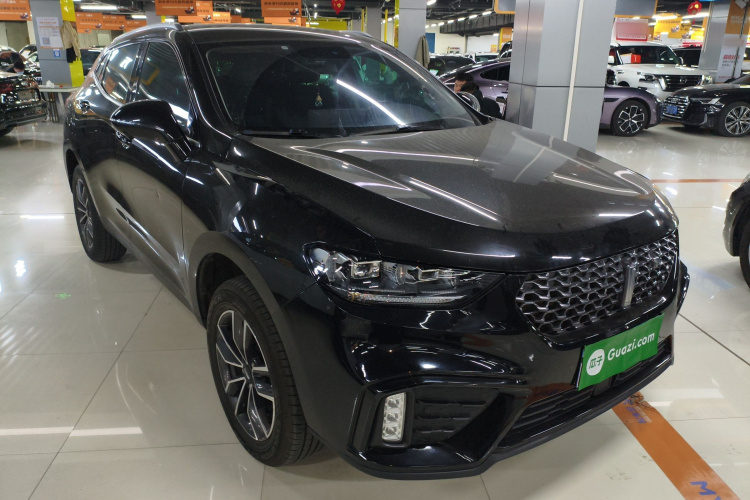 魏牌 VV5 2020款 1.5T 两驱智先锋车身外观6002