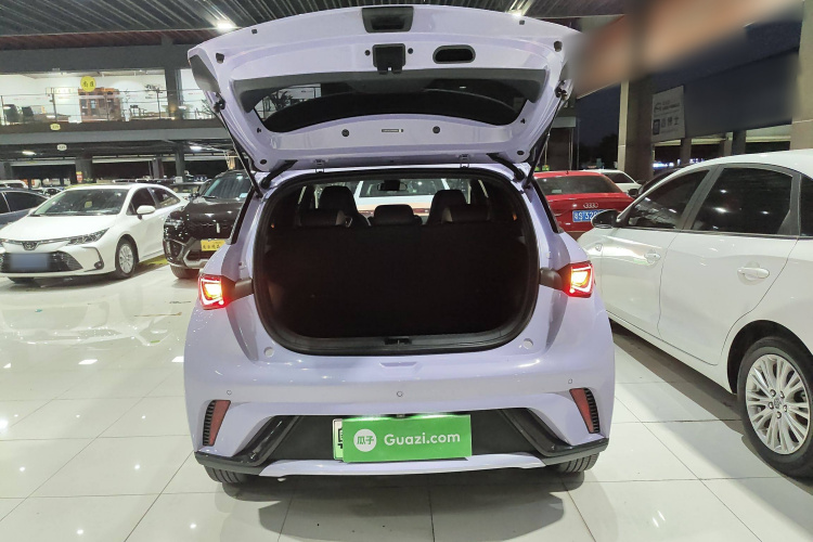 比亚迪 海豚 2023款 420km 自由版机舱底盘23