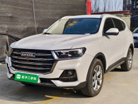哈弗H6 2021款 国潮版 1.5T 自动冠军版