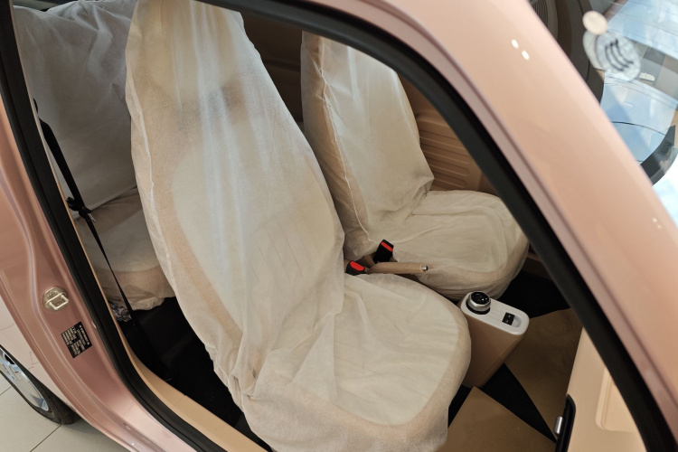 吉利银河 2024款 熊猫mini 200km 耐力熊局部细节41