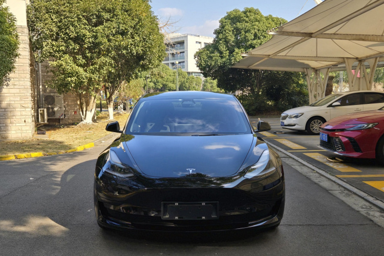 特斯拉 Model 3 2021款 标准续航后驱升级版车身外观6001