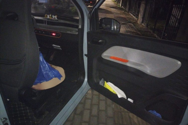 五菱汽车 宏光MINIEV 2020款 自在款 磷酸铁锂局部细节9005