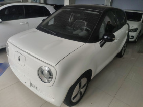 欧拉黑猫 2022款 301km 萌宠版 磷酸铁锂