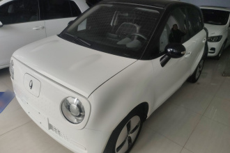 欧拉黑猫 2022款 301km 萌宠版 磷酸铁锂