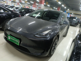 特斯拉 Model Y 2024款 后轮驱动版