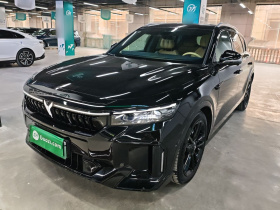 岚图汽车 岚图FREE 2024款 超长续航智驾版