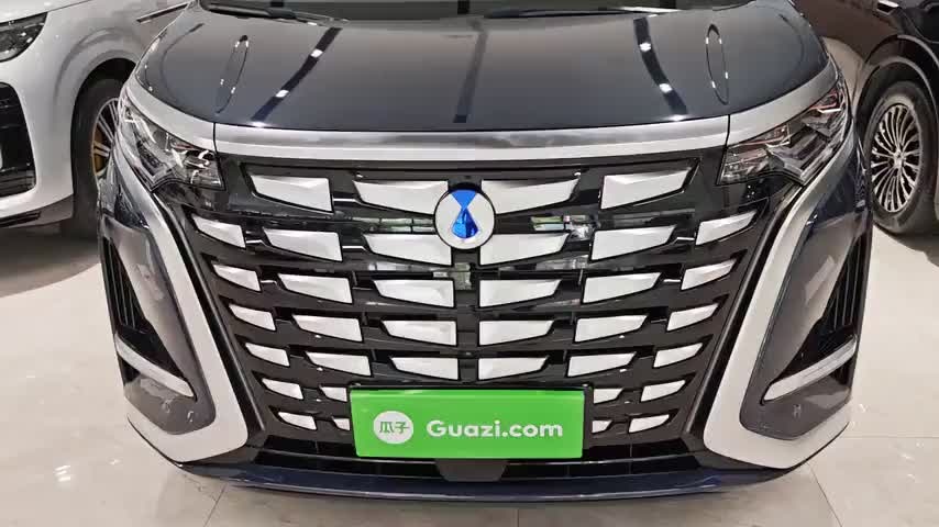 腾势D9 2024款 DM-i 980 四驱尊荣型实拍1