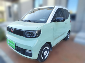 五菱汽车 宏光MINIEV 2021款 马卡龙臻享款 磷酸铁锂