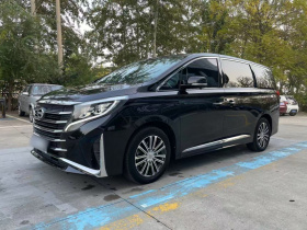 广汽传祺 传祺M8 2023款 领秀系列 390T 尊贵版