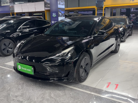 特斯拉 Model 3 2022款 后轮驱动版