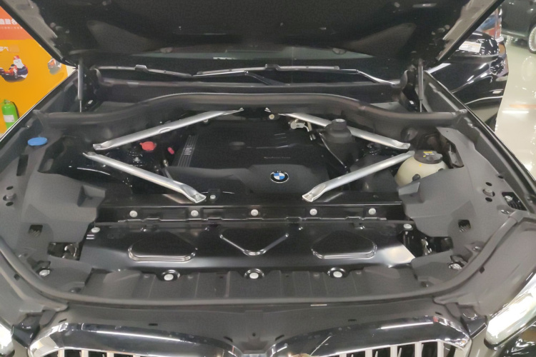 宝马X5(进口) 2021款 xDrive30i X设计套装机舱底盘24