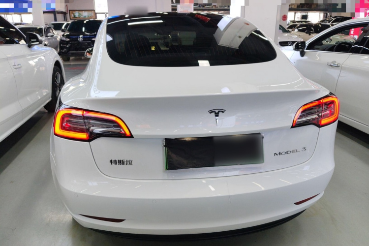 特斯拉 Model 3 2019款 标准续航后驱升级版车身外观6004