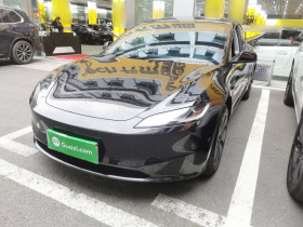 特斯拉 Model 3 2023款 后轮驱动版