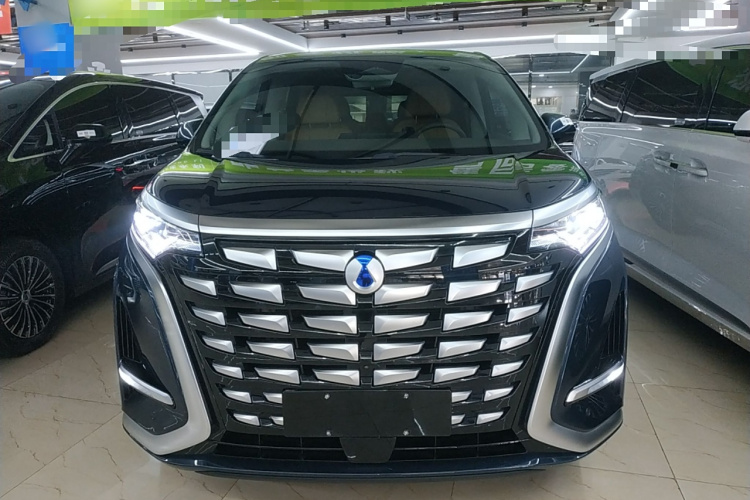 腾势D9 2022款 DM-i 1040 尊贵型车身外观2