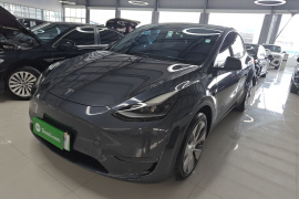 特斯拉 Model Y 2021款 长续航全轮驱动版