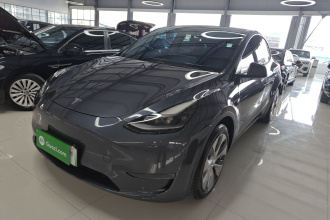 特斯拉 Model Y 2021款 长续航全轮驱动版