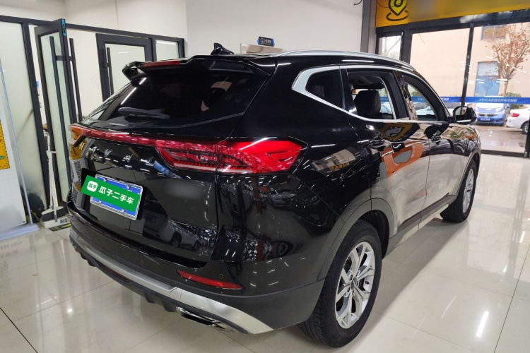 哈弗H6 2021款 国潮版 1.5T 自动冠军版车身外观7