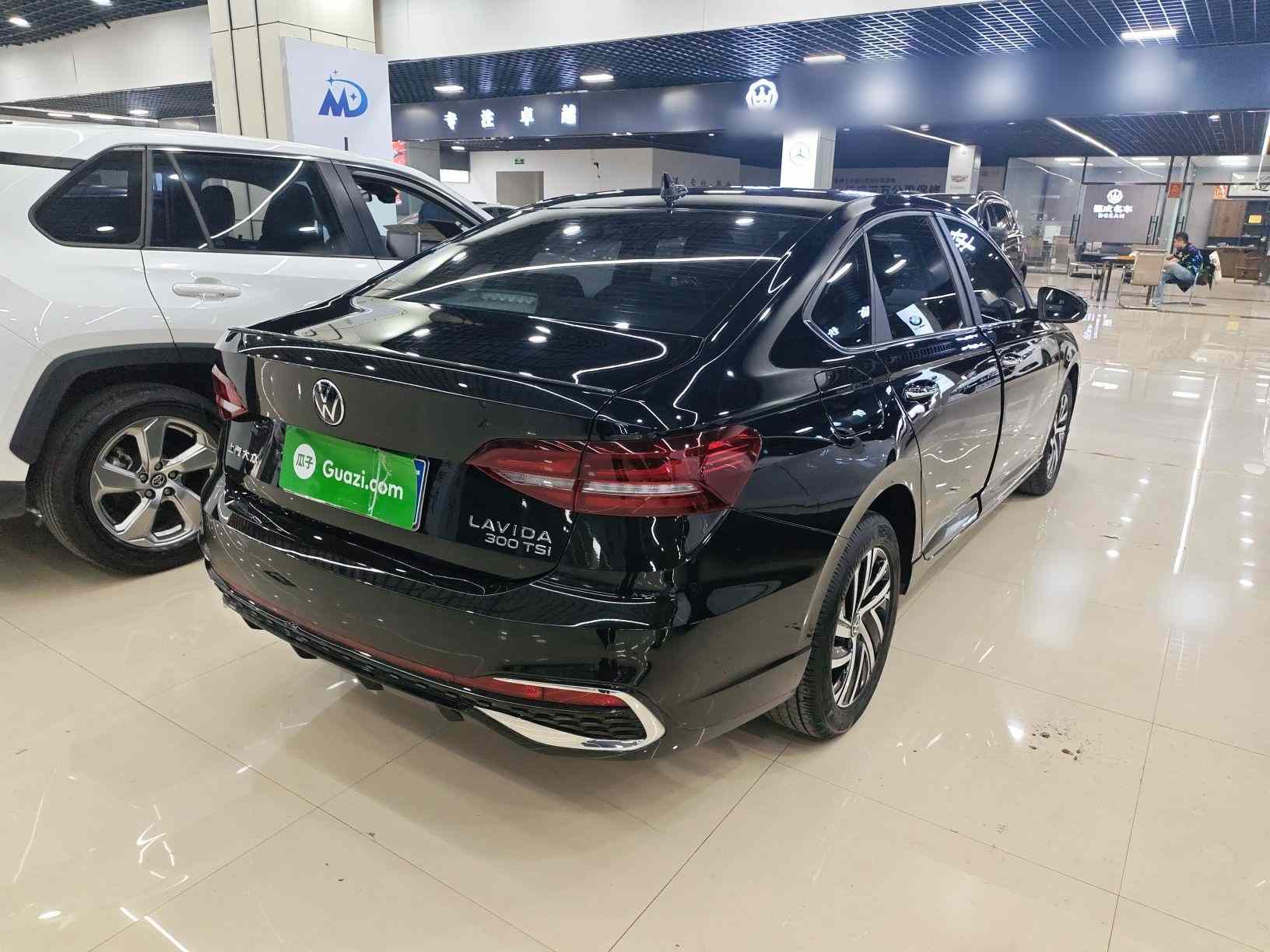 大众 朗逸 2024款 300TSI DSG星空满逸版(5)