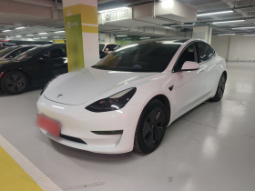 特斯拉 Model 3 2021款 标准续航后驱升级版