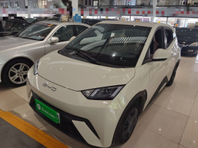 比亚迪 海鸥 2023款 活力版