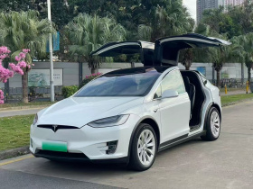 特斯拉 Model X 2019款 长续航版