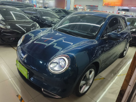 欧拉好猫 2023款 401km标准续航 豪华型 磷酸铁锂