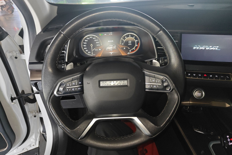 哈弗H6 2020款 2.0GDIT 自动铂金豪华版局部细节13