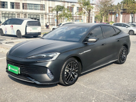 比亚迪 海豹 2023款 DM-i 1.5T 121km 旗舰型