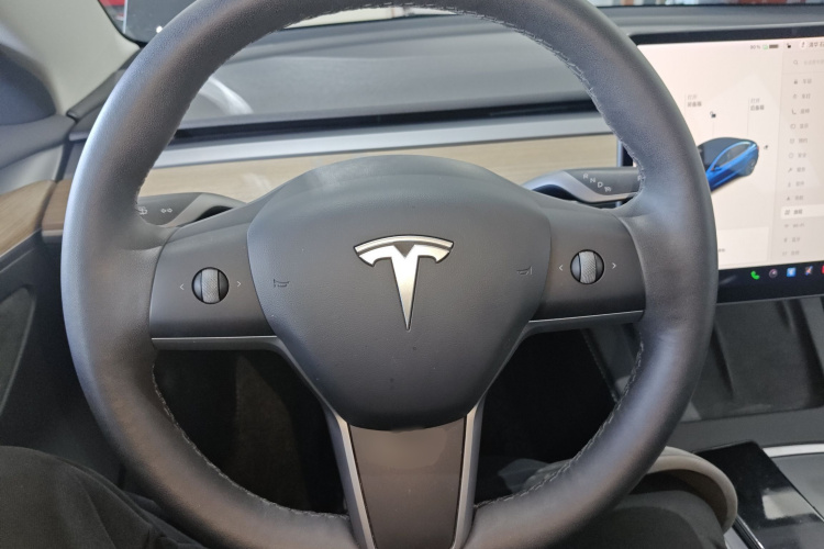 特斯拉 Model 3 2021款 改款 标准续航后驱升级版 3D1中控内饰13