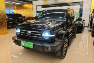 坦克300 2021款 城市版 2.0T 很有型