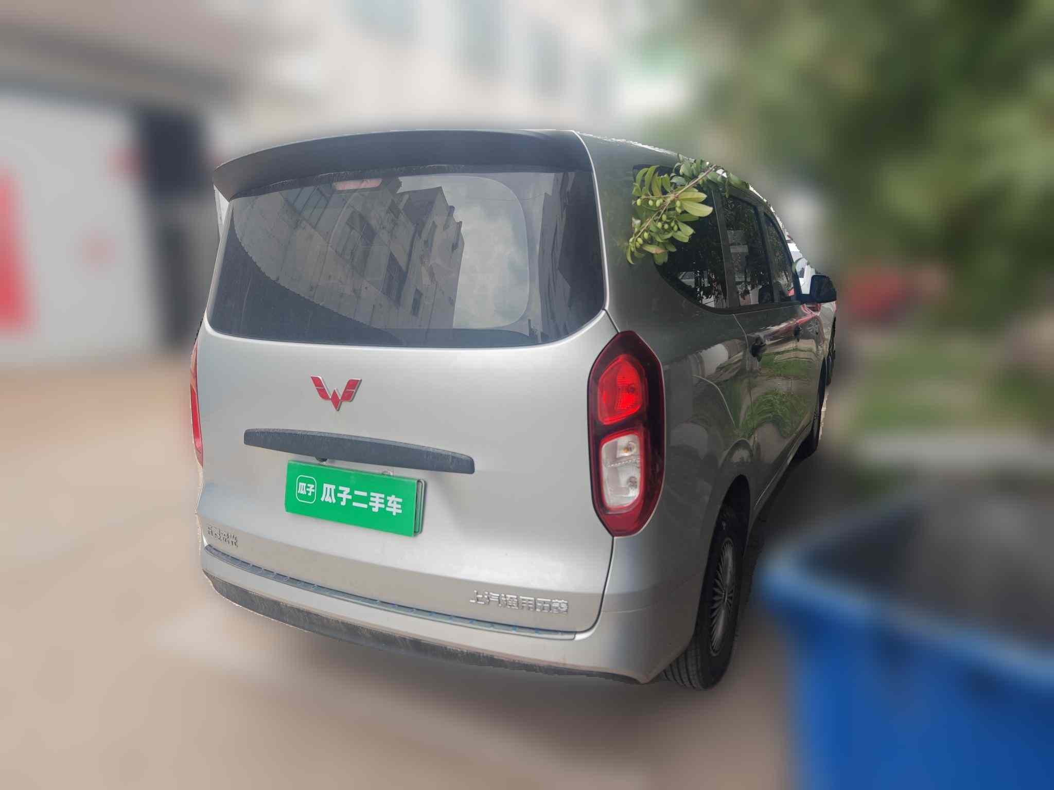 五菱汽车 五菱宏光新能源 2024款 纯电版 300KM 标准型(5)