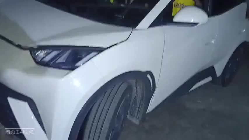 比亚迪 海鸥 2023款 自由版检测视频1