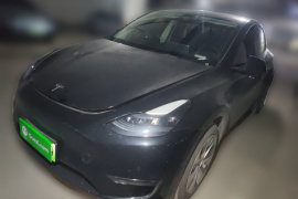 特斯拉 Model Y 2021款 标准续航后驱版