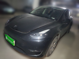 特斯拉 Model Y 2021款 标准续航后驱版