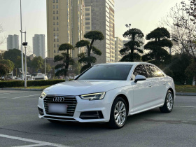 奥迪A4L 2019款 40 TFSI 进取型 国VI