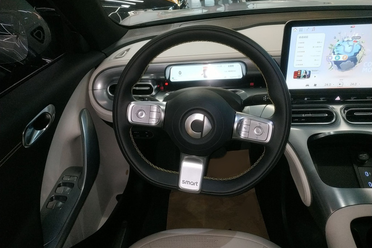 smart精灵#1 2023款 Pro版局部细节13