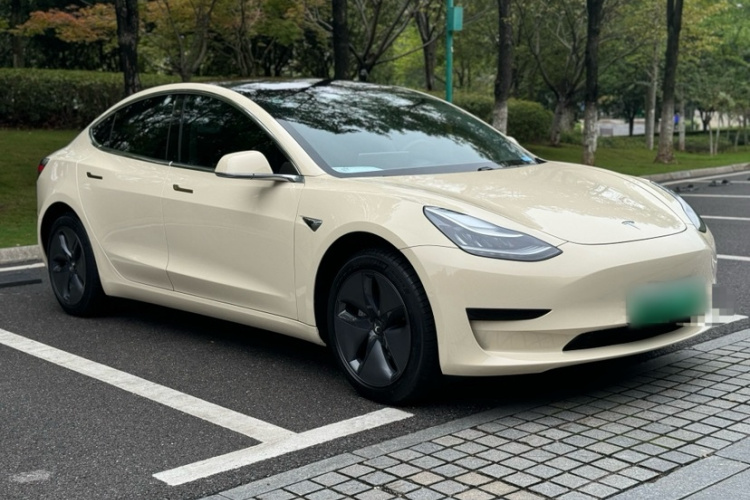 特斯拉 Model 3 2019款 标准续航后驱升级版车身外观6011