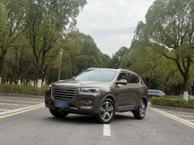 哈弗H6 2017款 红标 2.0T 自动两驱智尚型