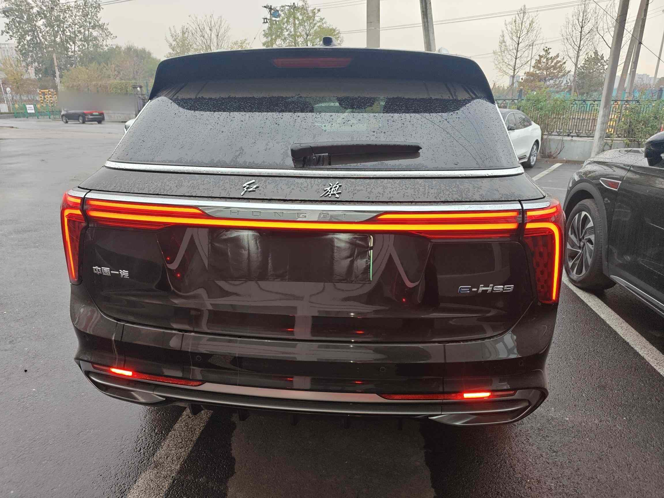 红旗E-HS9 2022款 690km 旗享版 六座(4)