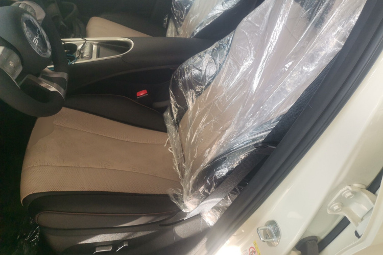 比亚迪 海豚 2025款 420km 自由版中控内饰19