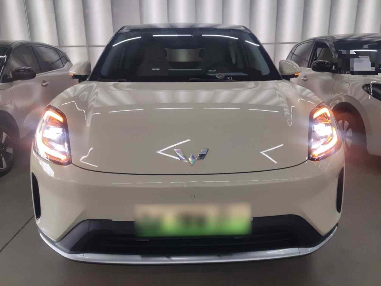 五菱汽车 缤果S 2025款 325km 尊享款(1)
