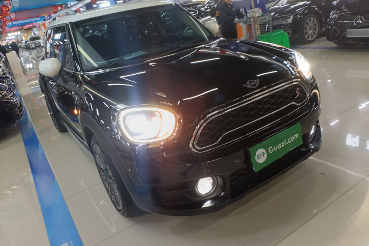 MINI Countryman 2018款 2.0T COOPER S ALL4 艺术家车身外观6002